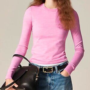 J.Crew NWT Carolyn Fitted Crewneck Sweater Merino Wool | Small